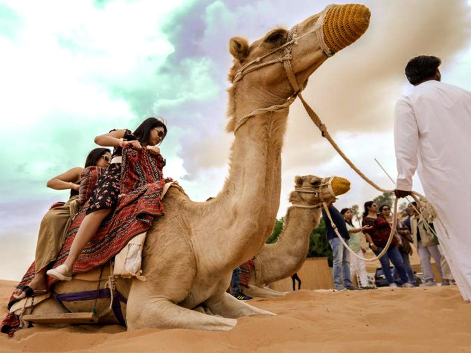 Bedouin Oasis Desert Camp- Ras Al Khaimah Екстериор снимка