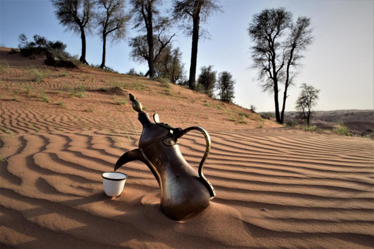 Bedouin Oasis Desert Camp- Ras Al Khaimah Екстериор снимка